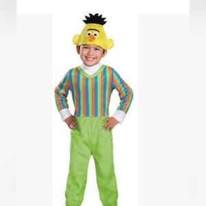 Sesame Street Bert Costume